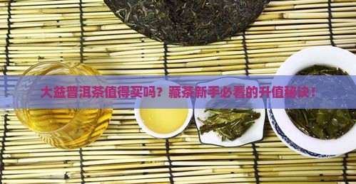 大益普洱茶的购买藏价值