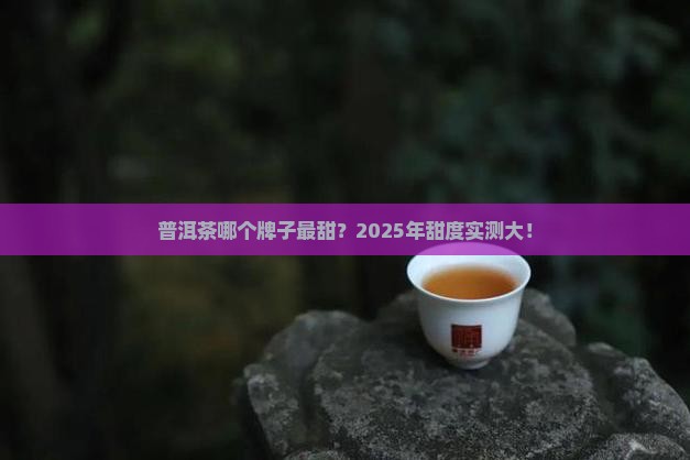 普洱茶哪个牌子最甜