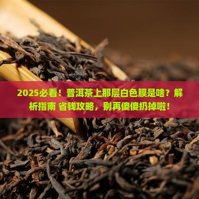 普洱茶上有一层白色的膜
