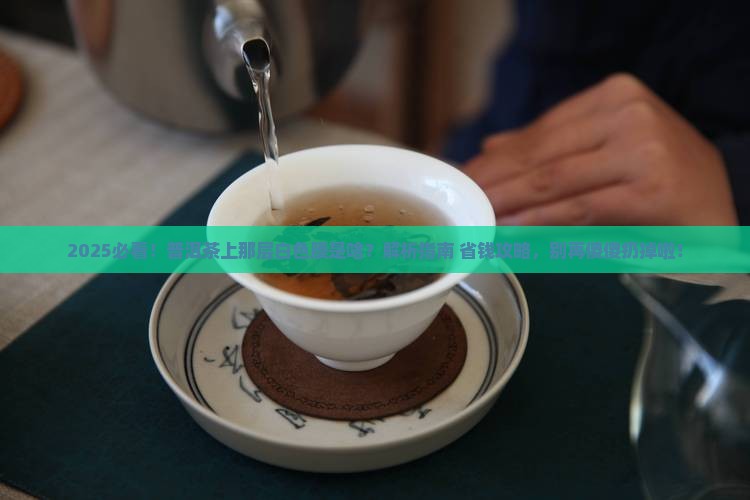 普洱茶上有一层白色的膜