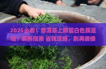 普洱茶上有一层白色的膜
