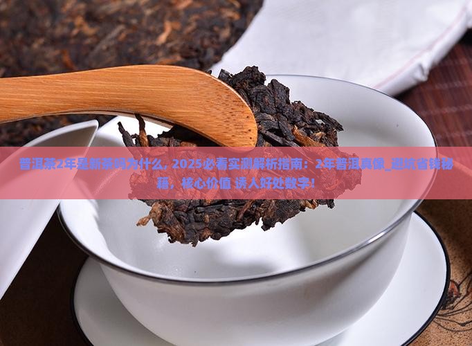 普洱茶2年是新茶吗为什么