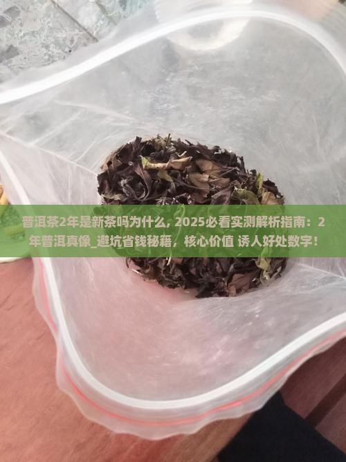 普洱茶2年是新茶吗为什么