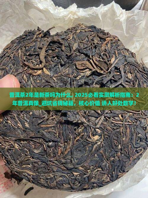 普洱茶2年是新茶吗为什么