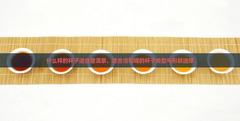 什么样的杯子适合普洱茶