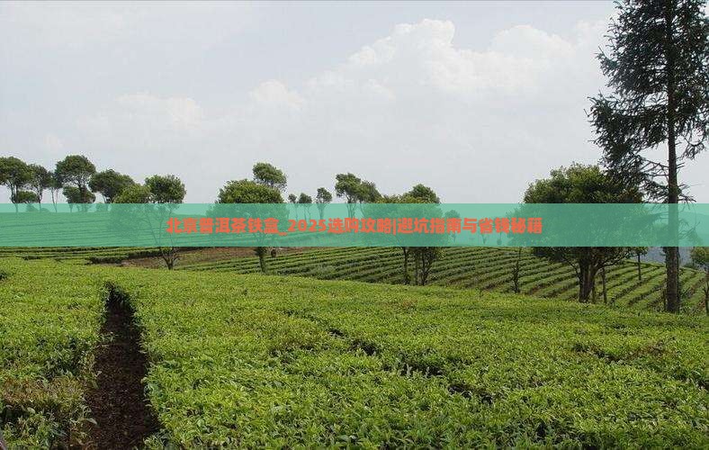 北京普洱茶铁盒
