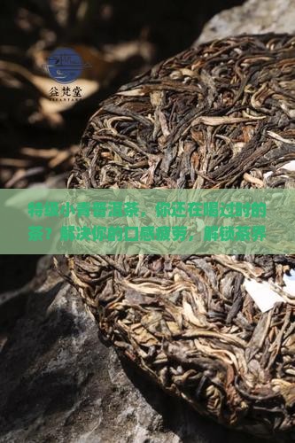 特级小青普洱茶