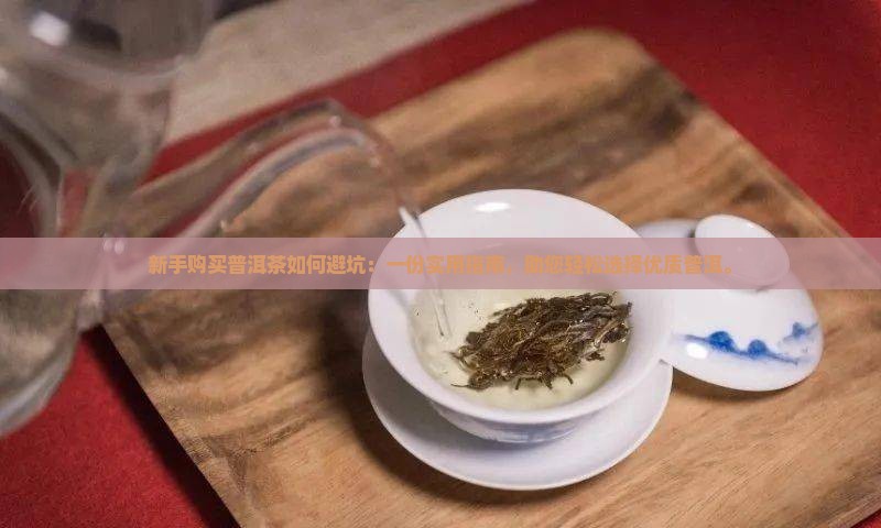 新手买普洱茶如何避坑