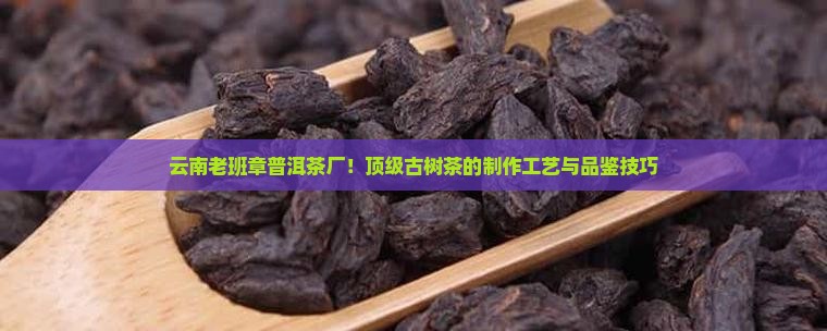 云南老班章普洱茶厂