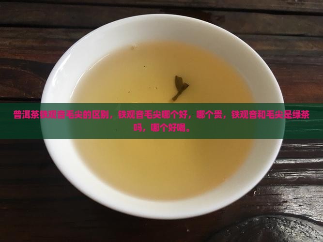 普洱茶铁观音毛尖的区别