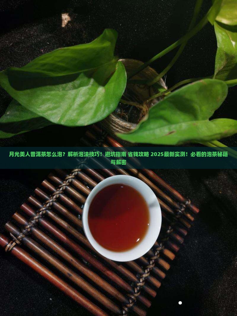 月光美人普洱茶怎么泡