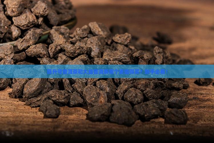陈升号普洱茶和大益普洱茶