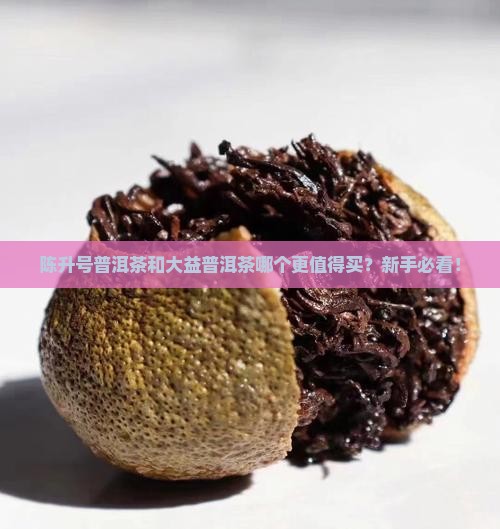 陈升号普洱茶和大益普洱茶