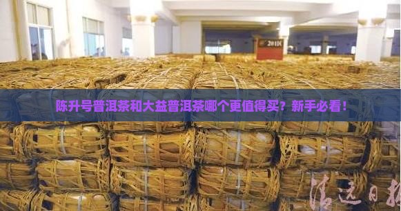 陈升号普洱茶和大益普洱茶