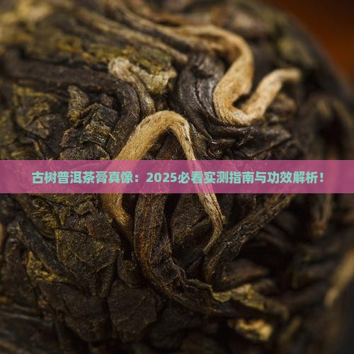 古树普洱茶膏的功效