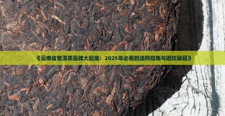 云南省普洱茶有哪些品牌