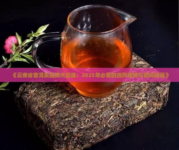 云南省普洱茶有哪些品牌