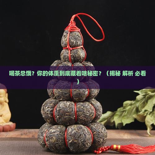 喝茶容易饿的人什么体质