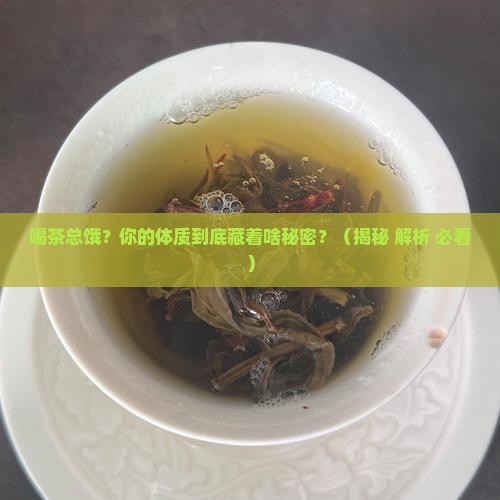 喝茶容易饿的人什么体质