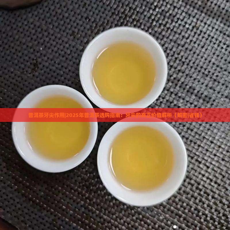普洱茶牙尖作用