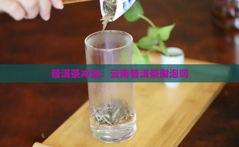 云南普洱茶耐泡吗