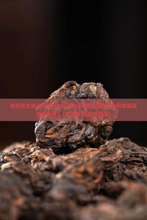 老班章生茶小茶饼