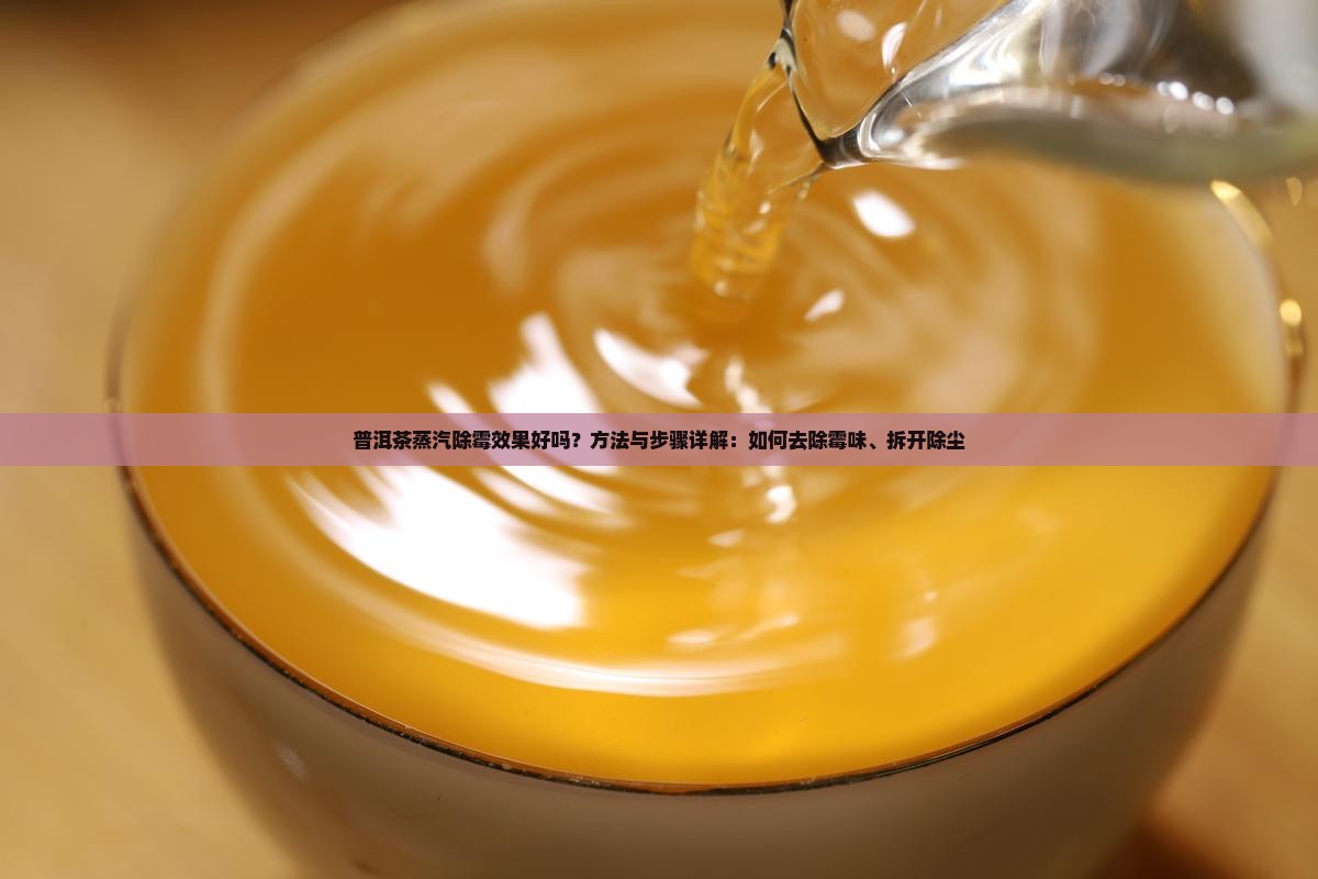 普洱茶蒸汽除霉