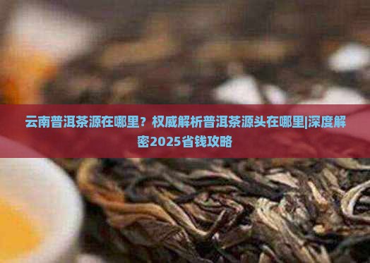 云南普洱茶源在哪里