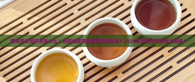 普洱茶公司宗旨