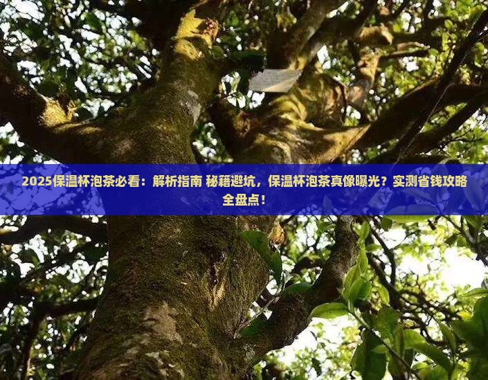 保温杯不能泡茶吗