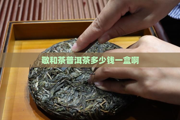 敬和茶普洱茶多少钱一盒