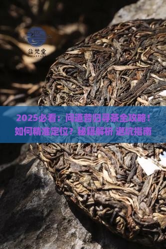 问道昔归寻茶技巧
