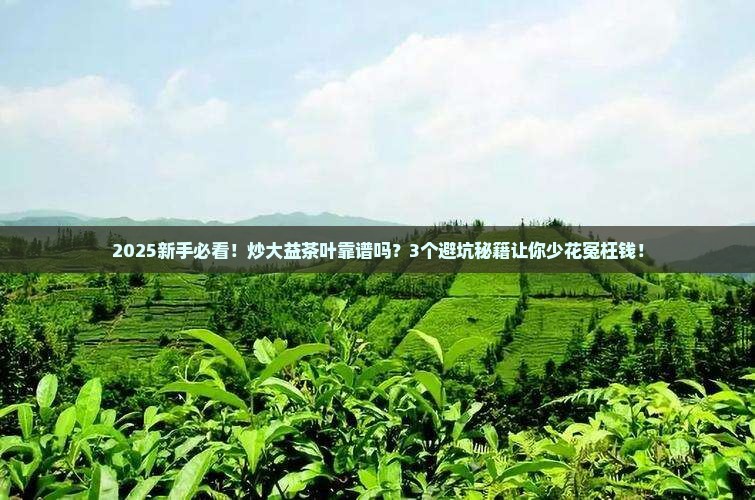 炒大益茶叶靠谱吗