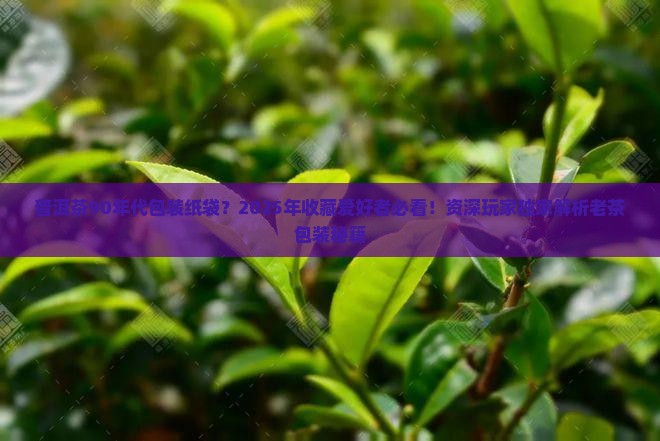 普洱茶90年代包装纸袋