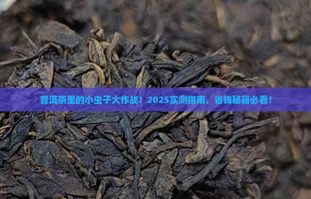 普洱茶里面长了小虫怎么办