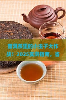 普洱茶里面长了小虫怎么办