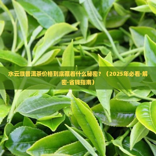 水云濮普洱茶价格