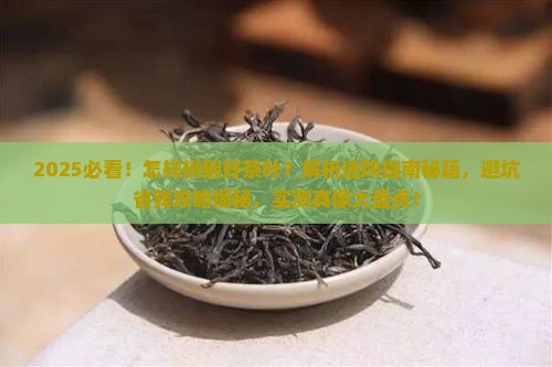 怎样辨别好茶叶