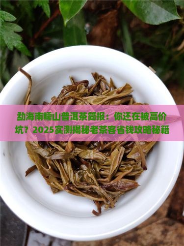 勐海南糯山普洱茶简报