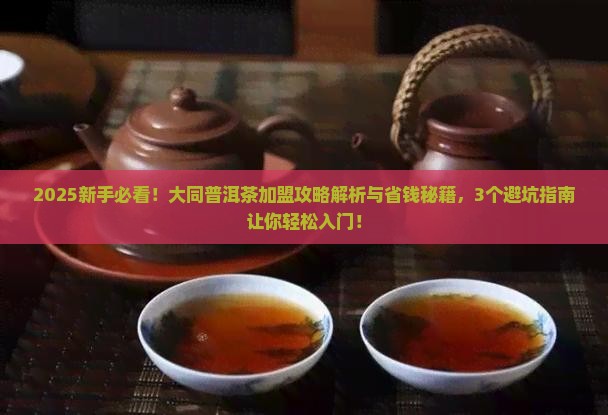 大同普洱茶加盟