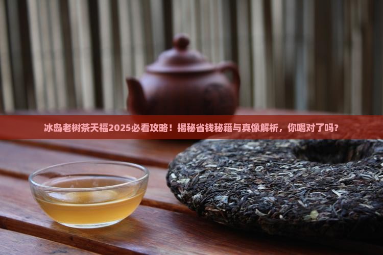 冰岛老树茶天福