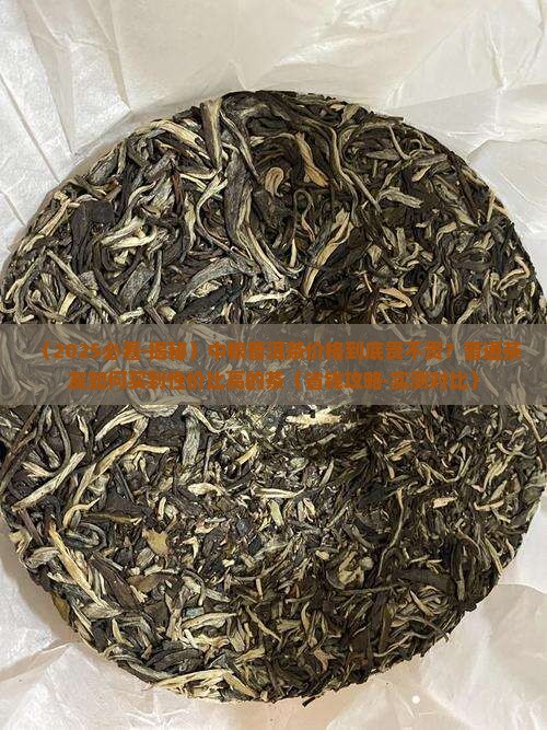 中粮普洱茶的价格