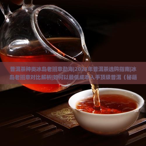 普洱茶种类冰岛老班章勐海