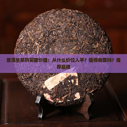 普洱生茶购买藏价值