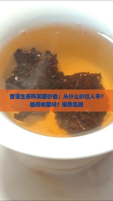 普洱生茶购买藏价值