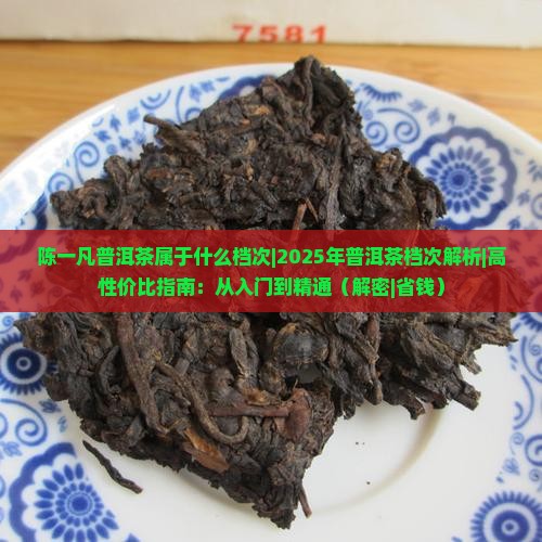 陈一凡普洱茶属于什么档次