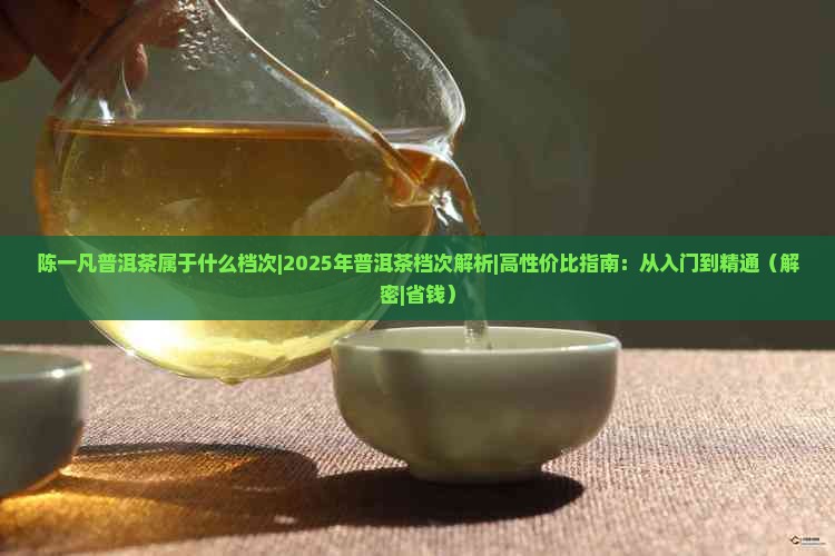 陈一凡普洱茶属于什么档次