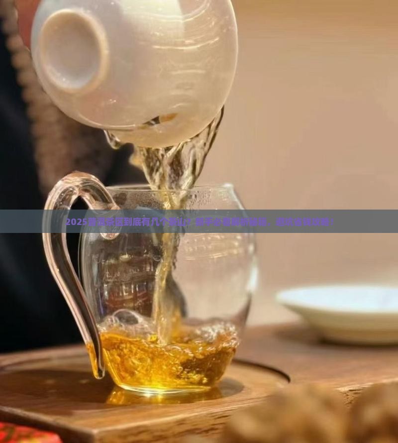 普洱茶区有几个茶山