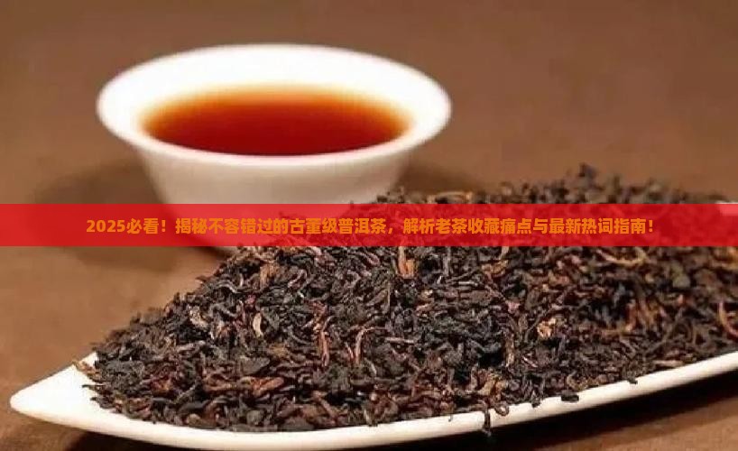 不容错过的古董级普洱茶
