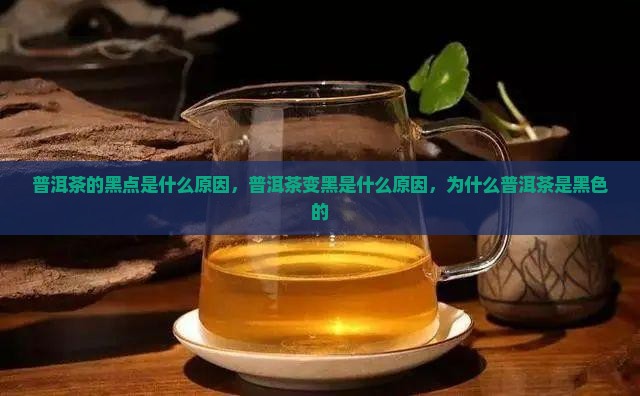 普洱茶的黑点是什么原因